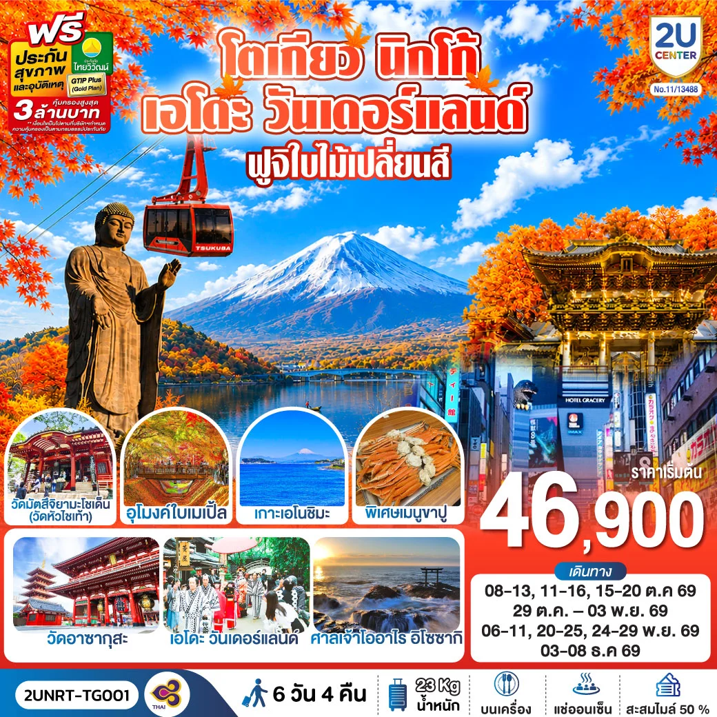 ทัวร์ญี่ปุ่น โตเกียว นิกโก้ เอโดะ วันเดอร์แลนด์  ฟูจิเปลี่ยนสี 6วัน 3คืน  (TG)